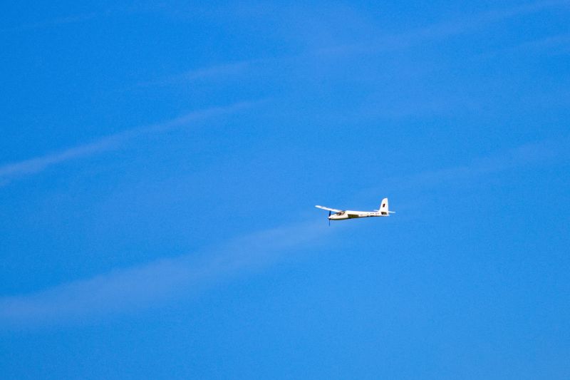 IMG_4443