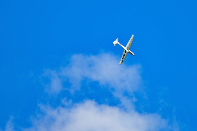 IMG_4454