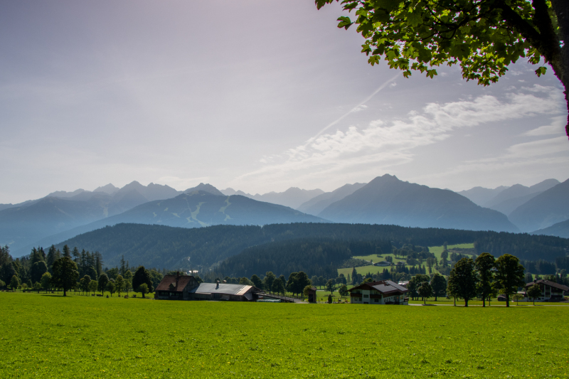 IMG_6604