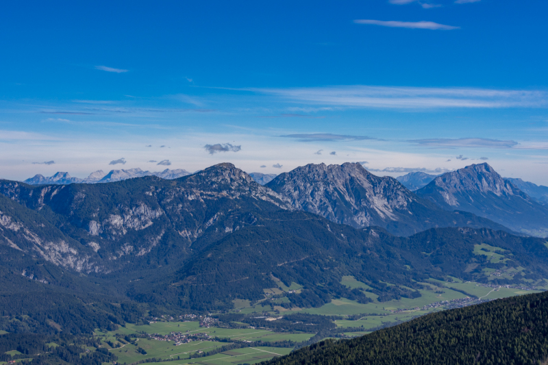 IMG_1894