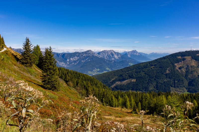 IMG_1907