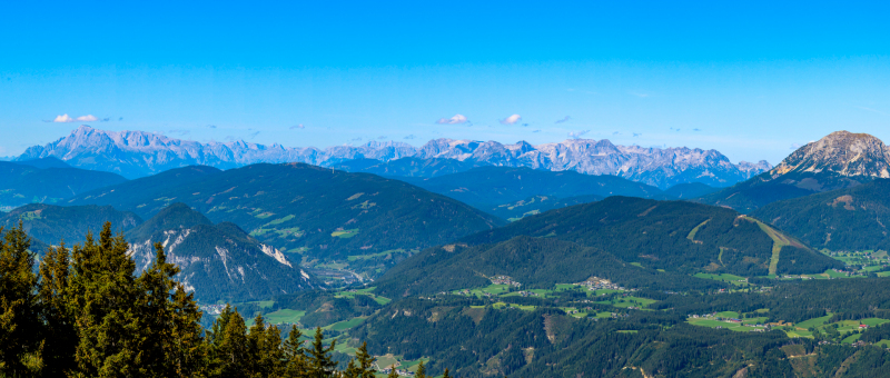 IMG_1938