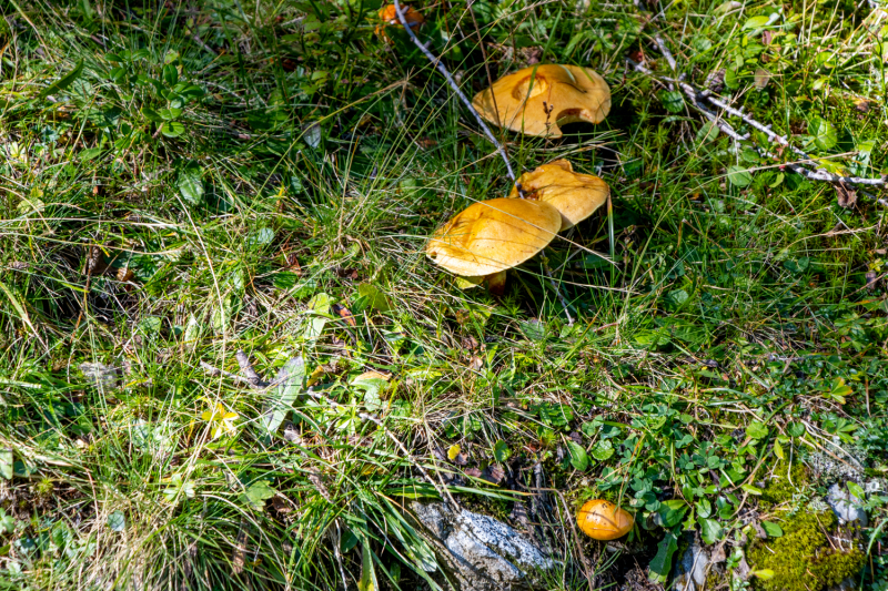 IMG_6924