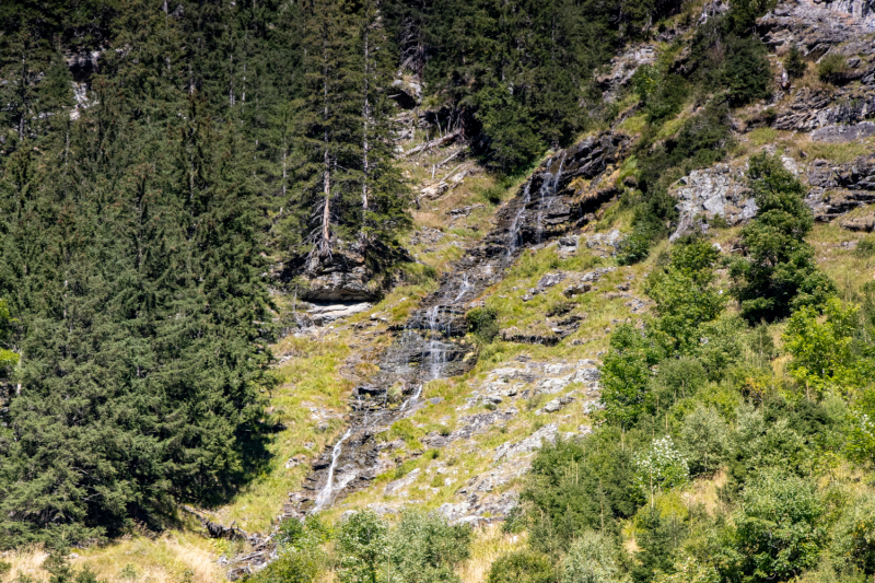 IMG_7453