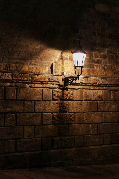 20240815224406_ER7_8312