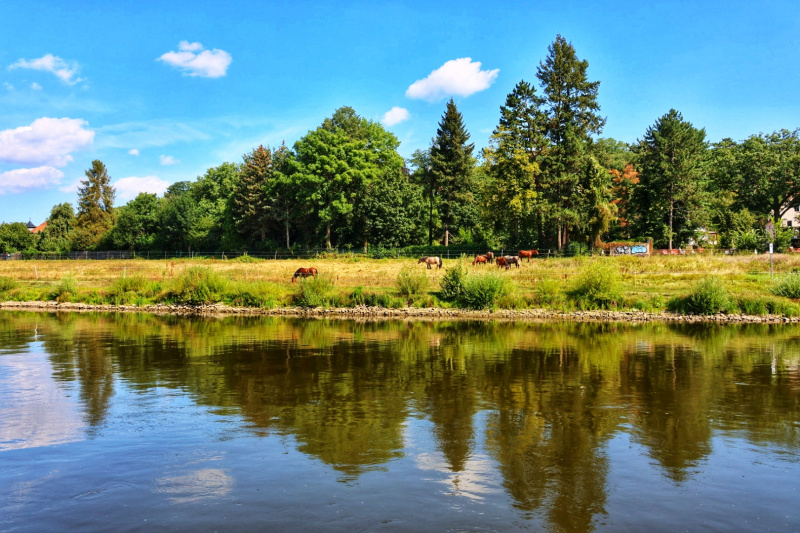 20240816111051_ER7_8477