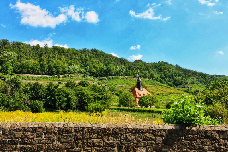 20240816121335_ER7_8548