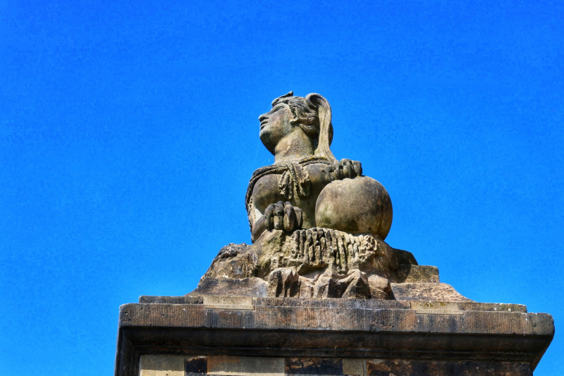 20240816125558_ER7_8585