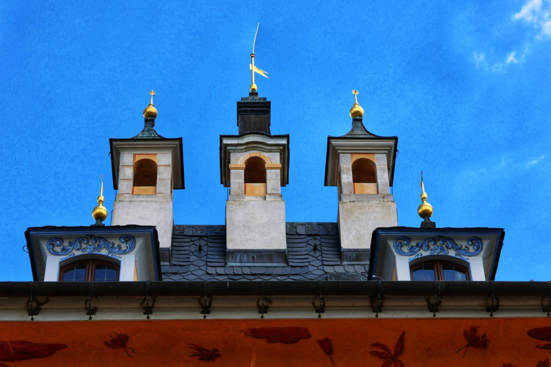 20240816125848_ER7_8591