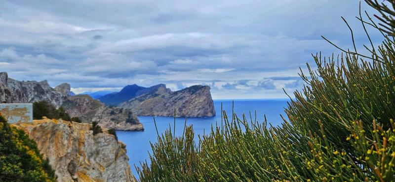 signal-2024-04-30-19-58-40-526-6