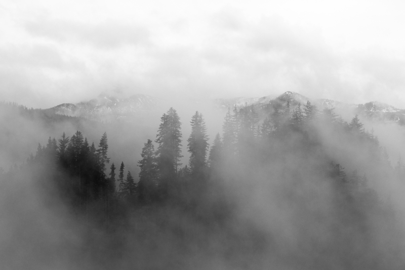 346_ER7_9172