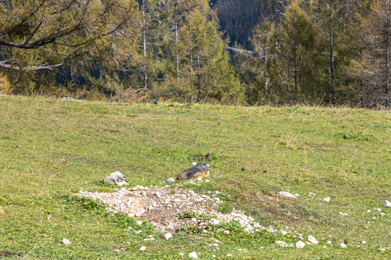 595_ER7_9451