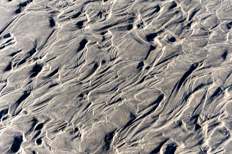 ER6_9958