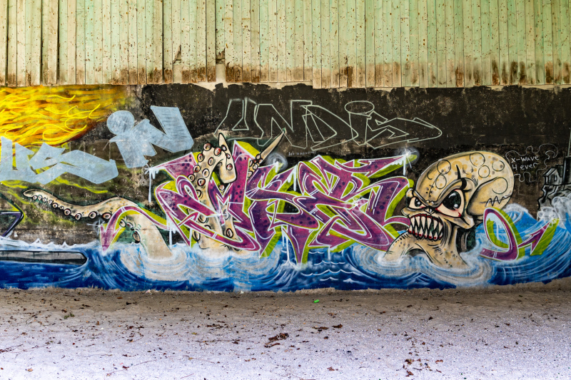 R6_13597