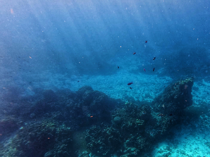 dji_export_photo_20260122062128603