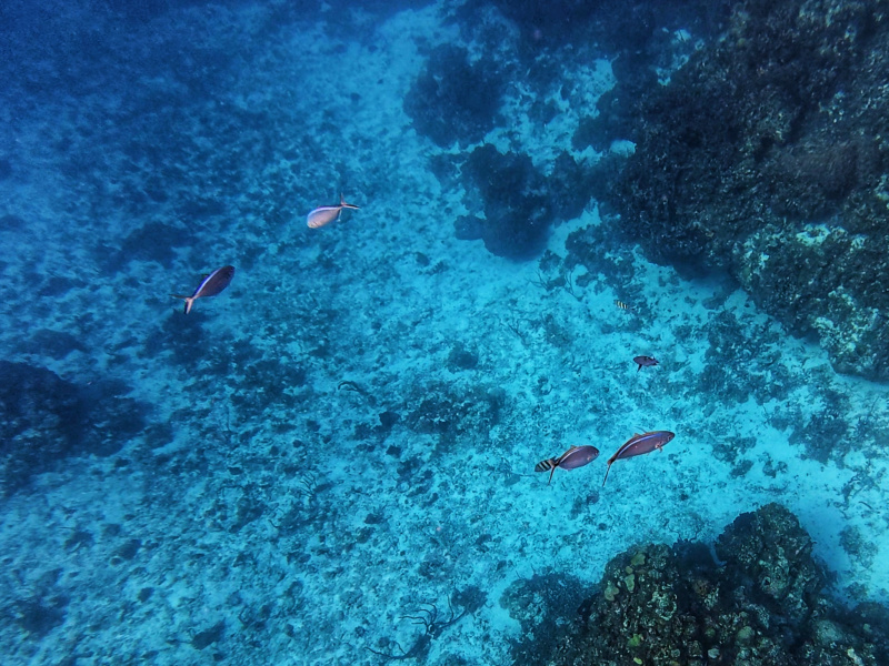 dji_export_photo_20260122062319759