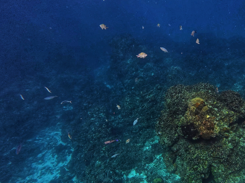 dji_export_photo_20260122062401142