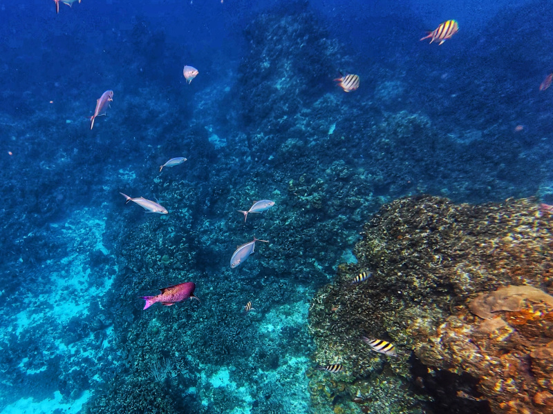 dji_export_photo_20260122062421452