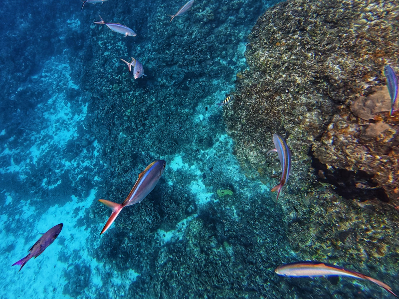 dji_export_photo_20260122062431824