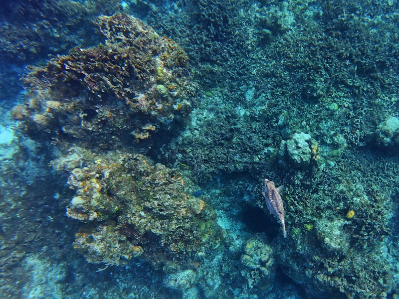 dji_export_photo_20260122062553995