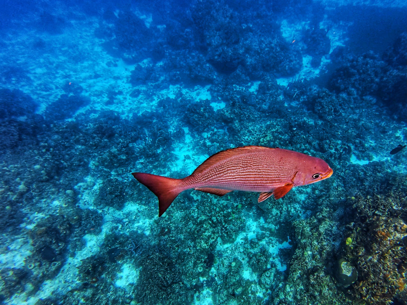 dji_export_photo_20260122062632016