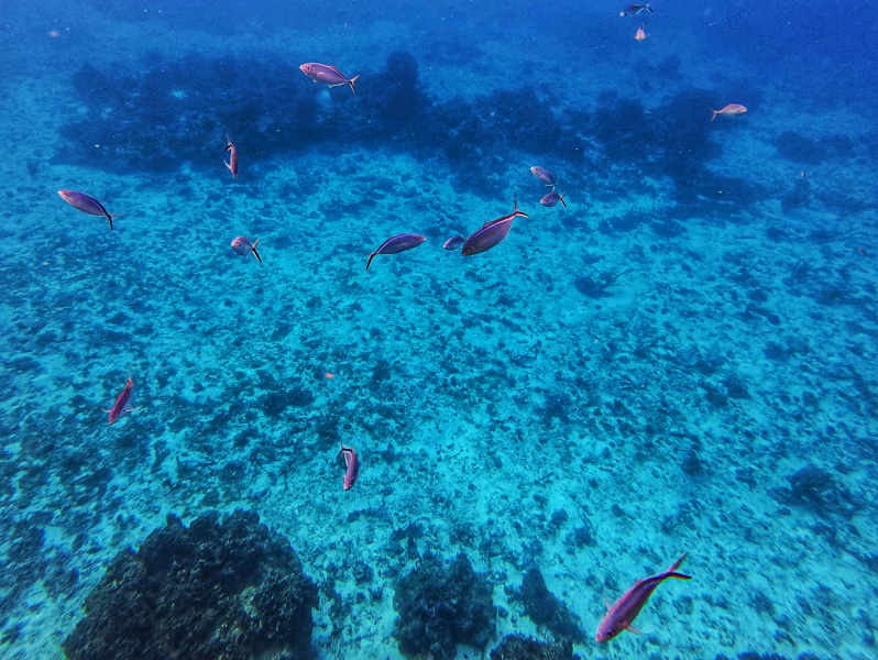 dji_export_photo_20260122062728339