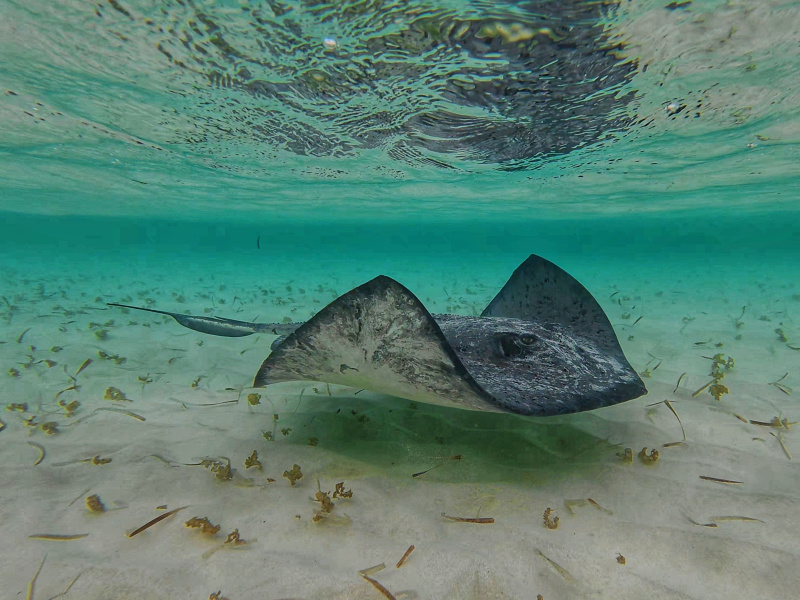 dji_export_photo_20260122063121081