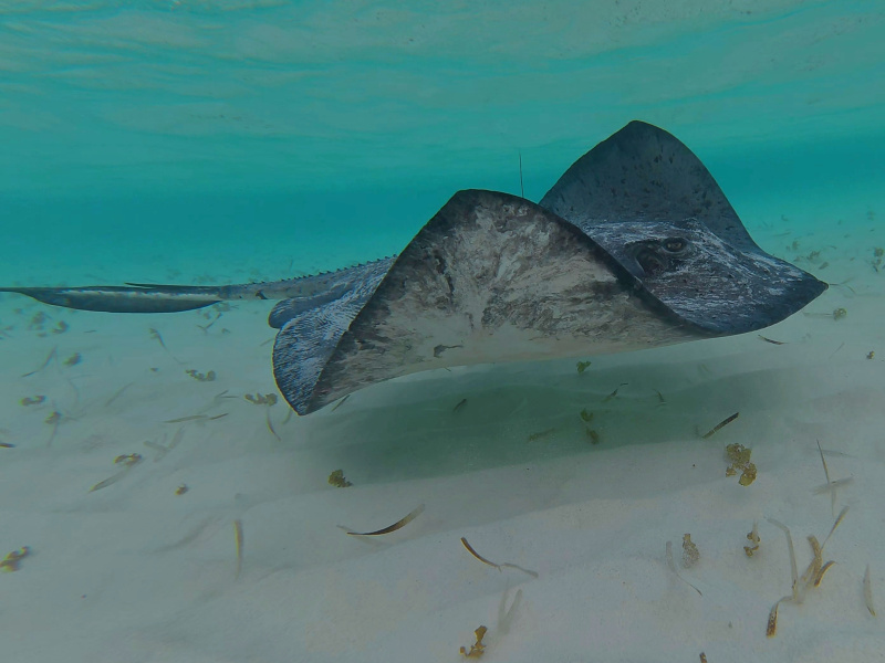 dji_export_photo_20260122063128029