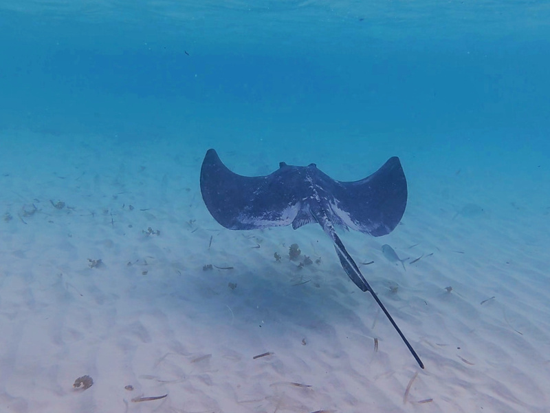 dji_export_photo_20260122063237745