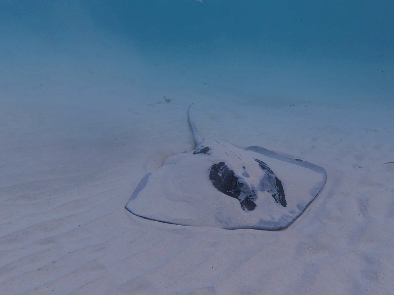 dji_export_photo_20260122063411329