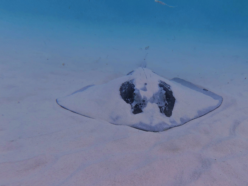 dji_export_photo_20260122063418986