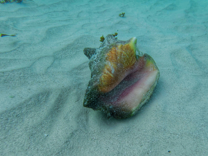 dji_export_photo_20260122063932247