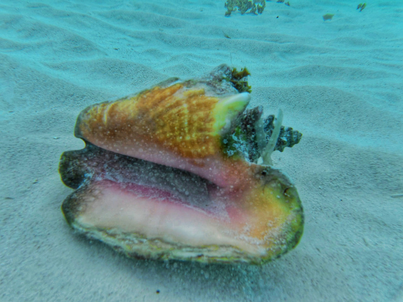 dji_export_photo_20260122063945787