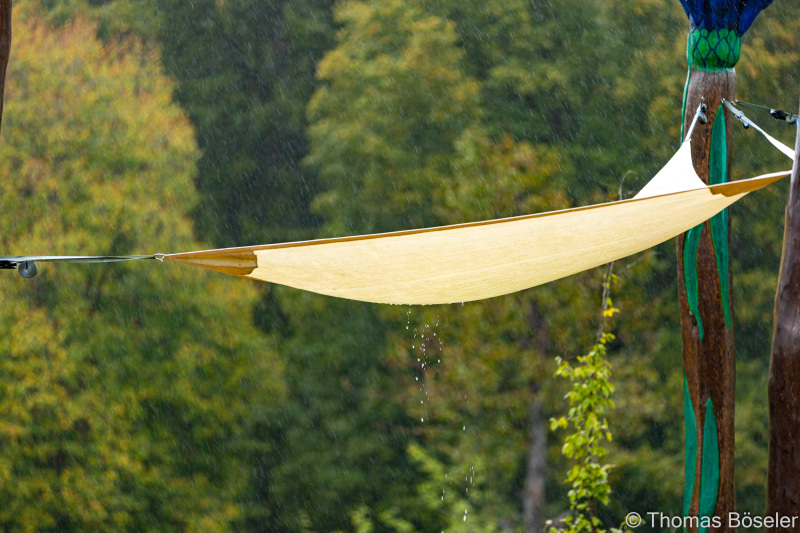 CThomasBoeseler-R6_10074-Fell26-3000