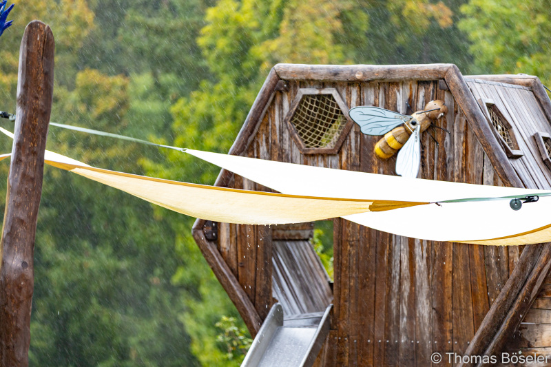 CThomasBoeseler-R6_10076-Fell26-3000