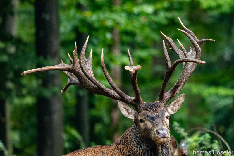 CThomasBoeseler-R7_10337-Fell26-3000