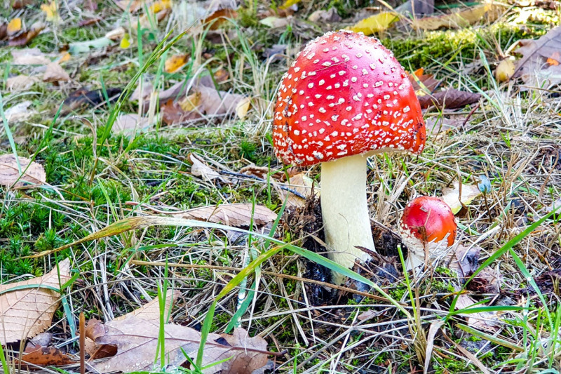 20201031_130126