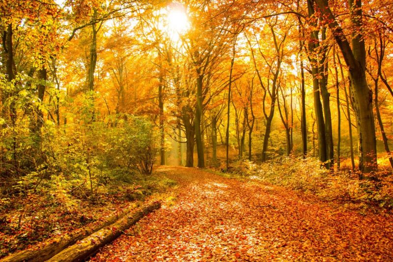 Herbst2015_IMG_4404