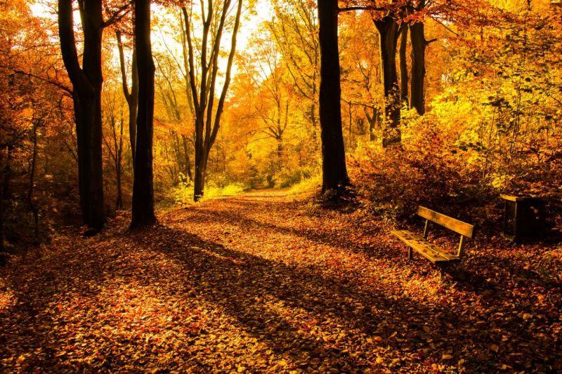 Herbst2015_IMG_4417