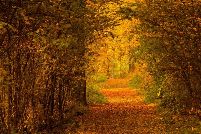 Herbst2015_IMG_4486