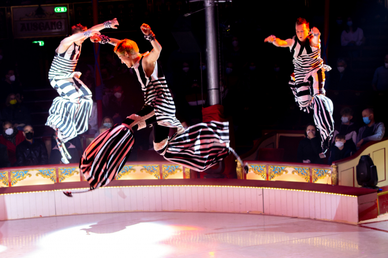 IMG_1553-CR3_DxO_DeepPRIME