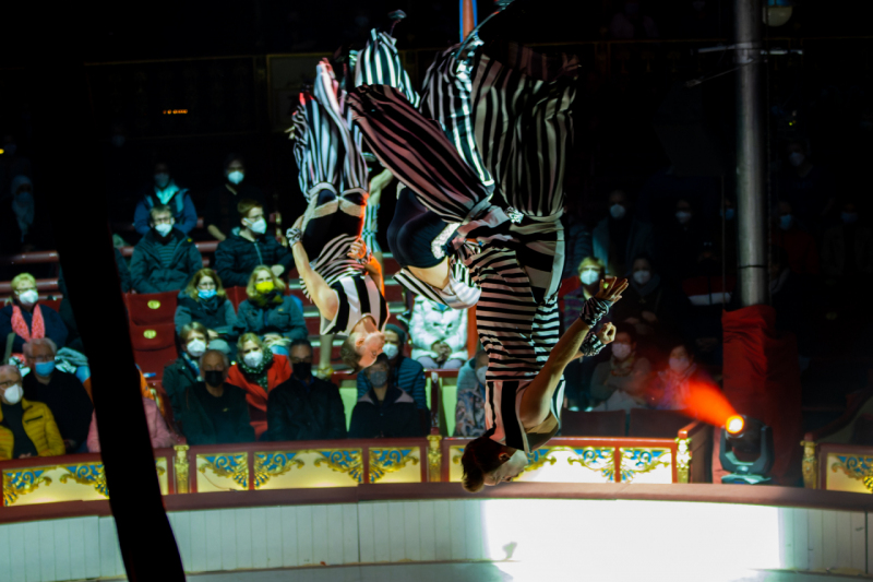 IMG_1572-CR3_DxO_DeepPRIME