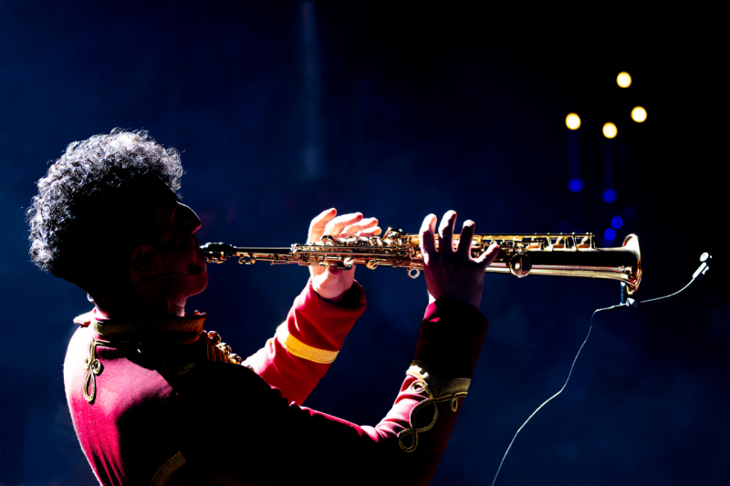 IMG_1679-CR3_DxO_DeepPRIME