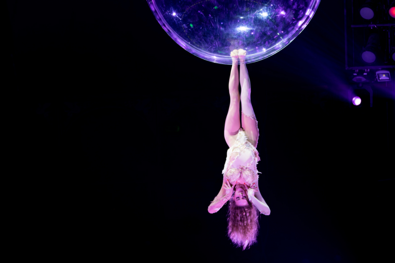 IMG_1795-CR3_DxO_DeepPRIME